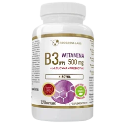 Progress Labs Witamina B3 500Mg Niacyna 120 Kaps.