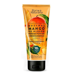 Odżywka do włosów puszących się i zniszczonych Mango 200ml
