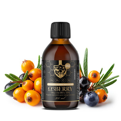 Powerful Brand Omega 3 kwasy tłuszczowe DHA i EPA 300ml smak czarna porzeczka