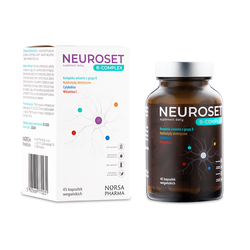 Neuroset B-Complex
