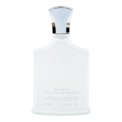Silver Mountain Water woda perfumowana spray 100ml