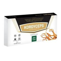 Ginseng Poland − Kordyceps ekstrakt kompleks − 10 x 10 ml