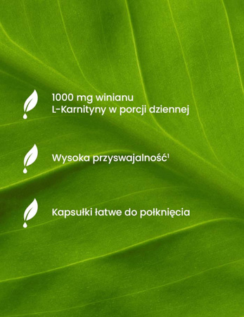 ESSENSEY L-KARNITYNA 90 kaps