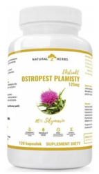 Altopharma Natural Herbs Ostropest Plamisty Extrakt 125mg Sylimaryna Vege 120 kaps.