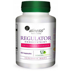 Aliness Regulator homocysteiny  vege 60 kaps.
