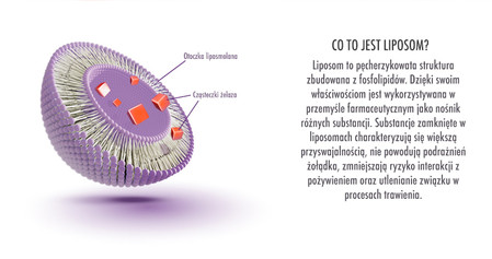 NOCTUA Noctaferr liposomalne żelazo z laktoferyną 30 kaps.