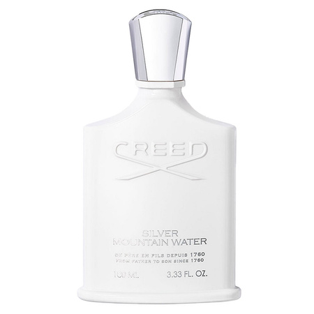 Silver Mountain Water woda perfumowana spray 100ml