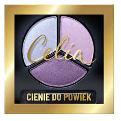 Cienie do powiek 252 4g