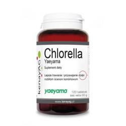 Chlorella suplement diety 120 tabletek
