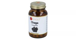 Chaga - ekstrakt 10% polisacharydów (90 kaps.)