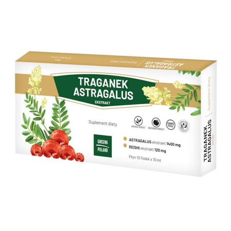Traganek Astragalus ekstrakt 10x10ml (fiolki) GINSENG POLAND
