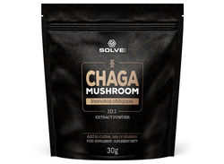 SolveLabs Chaga (Błyskoporek Podkorowy) 10:1 Mushroom Powder 30g
