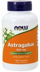 Now - Astragalus 500 mg - 100 kaps