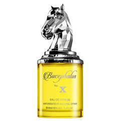 Bucephalus No. X woda perfumowana spray 100ml