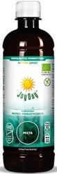 JOY DAY Koncentrat EKO probiotyczny Mięta 500ml