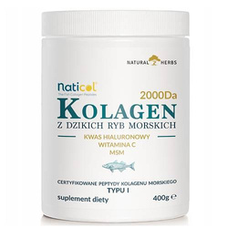 Natural Herbs Kolagen Rybi Naticol® Wild Marine Collagen Typu I + Msm + Witamina C + Kwas Hialuronowy 100% - 400g