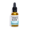 Mydlarnia cztery szpaki - Serum do włosów niskoporowatych - 30 ml