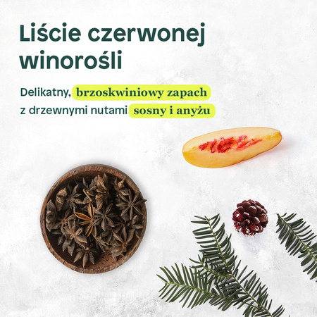 Attitude SUPER LEAVES™, Odżywka do włosów farbowanych, 240 ml