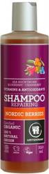 Szampon Nordyckie Jagody regenerujący BIO 250 ml