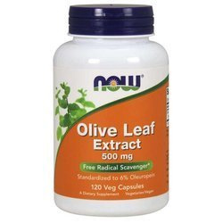 Olive Leaf extract - standaryzowany Liść Oliwny 500 mg (120 kaps.)