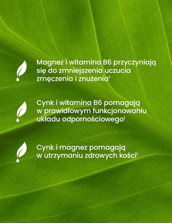 ESSENSEY MAGNEZ+CYNK+B6 120 kaps