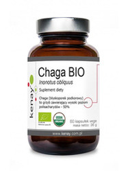 Chaga BIO 60 kaps.