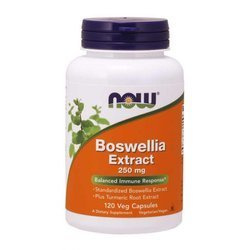 Boswellia 250 mg ekstrakt z Kurkumą (120 kaps.)