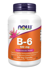 Now Foods Witamina B 6 250 kap
