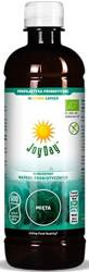 JOY DAY Koncentrat EKO probiotyczny Mięta 500ml