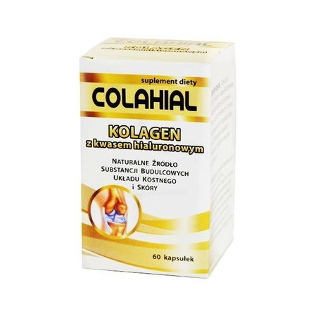 Gorvita Kolagen Z Kwasem Hialuronowym 60 K