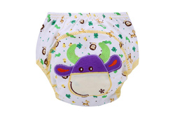 SIMED MAJTKI TRENINGOWE KRÓWKA