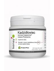 Kadzidłowiec Casperome Indena Phytosome (300 kaps.)