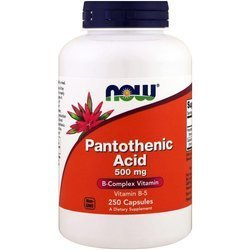 Pantothenic Acid - Kwas Pantotenowy (Witamina B5) 500 mg - 250 kapsułek