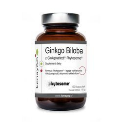 Ginkgo Biloba z Ginkgoselect Phytosome (60 kaps.)
