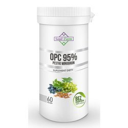 Soul Farm Pestki winogron ekstrakt 95% OPC 450mg − 60 kaps.