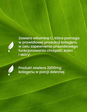 ESSENSEY KOLAGEN RYBI FORTE 2200mg 120 kaps