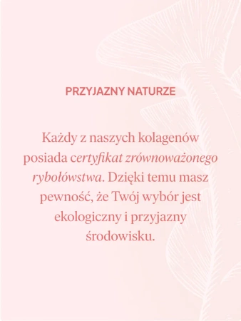 Natu Care Premium Kolagen na skórę, włosy i paznokcie 5000 mg smak truskawka - rabarbar
