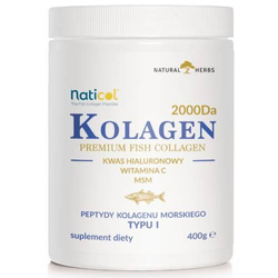 Natural Herbs Kolagen Rybi Naticol® Premium Typu I + Msm + Witamina C + Kwas Hialuronowy 100% Pure Powder 400g