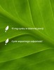ESSENSEY CYNK ORGANICZNY 120cap