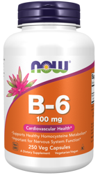 Now Foods Witamina B 6 250 kap
