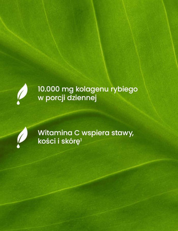 Essensey Kollagen Rybi 10000 mg na stawy, włosy z kwasem hialuronowym 321g smak zielona herbata