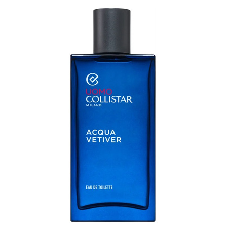Acqua Vetiver woda toaletowa spray 100ml