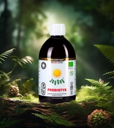 Joy Day  Bio probiotyk mieszanka szczepów bakterii probiotyccznych 500 ml