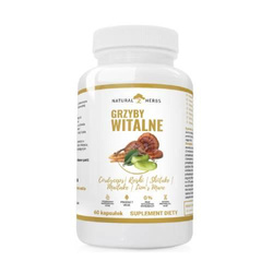 Natural Herbs Grzyby Witalne Cordyceps| Reishi | Shiitake | Maitake | Lion’S Mane 60 kaps.