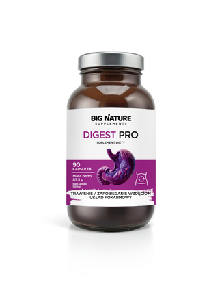 Big Nature Digest Pro 90 kaps.