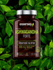 ESSENSEY ASHWAGANDHA FORTE 90cap