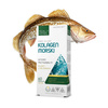 Medica Herbs Kolagen Morski 60 kaps.