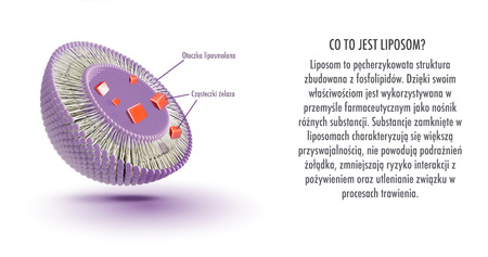 NOCTUA Noctaferr liposomalne żelazo z laktoferyną 30 kaps.