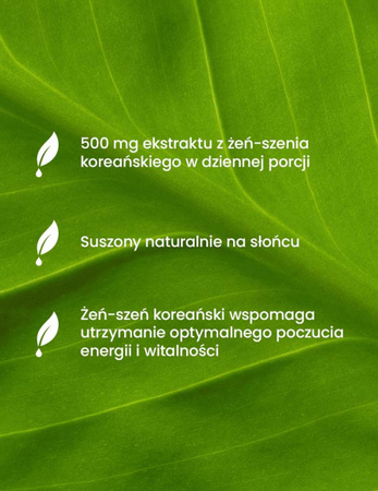 Essensey Żeń-szeń koreański, energia i witalność - 90 kaps