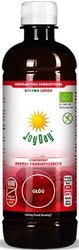 Joy Day EKO Koncentrat napoju probiotycznego Głóg 500 ml